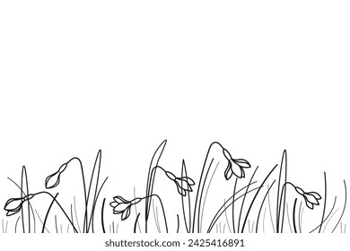 Field with wildflowers snowdrops plants ink sketch hand drawn banner white background vector illustration. Design  floral pattern with black line silhouette of glade snowdrops flowers, spring texture