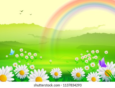 Field with yellow dandelions and sky