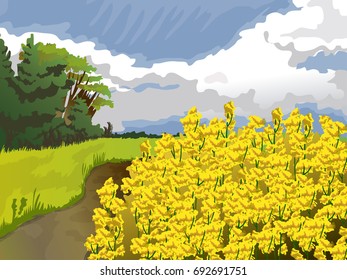 Field with yellow flowers in blue sky white clouds trees and green grass