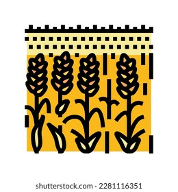 field yellow ripe wheat color icon vector. field yellow ripe wheat sign. isolated symbol illustration