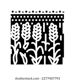 field yellow ripe wheat glyph icon vector. field yellow ripe wheat sign. isolated symbol illustration