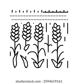 field yellow ripe wheat line icon vector. field yellow ripe wheat sign. isolated contour symbol black illustration