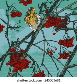 fieldfare sits on a branch of a rowan-tree. vector illustration. 