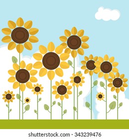 Fields Of Abstract Sunflowers With Blue Sky And Clouds
