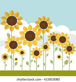 Fields Of Abstract Sunflowers With Blue Sky And Puffy Clouds