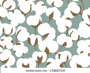 Fields of Cotton flowers, vector illustrations of plants. Growing organic agricultural products. Eco-friendly production. Ripened cotton flowers with brown leaves on a blue neutral background.