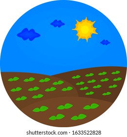 fields with green sprouts under the blue sky with bright orange sun and clouds. concept of agricultural logo for design