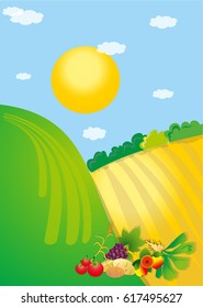 Fields with harvest. Vector