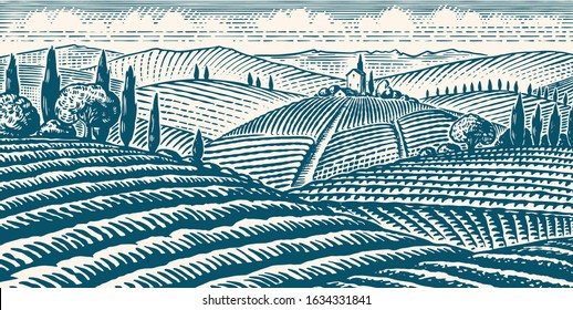  Fields and hills of Tuscany. Scenic view of vineyards. Wide panoramic vine plantation in Chianti. French or Italian engraved landscape. Hand drawn monochrome vintage horizontal sketch. 