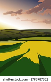 Fields with yellow flowers and trees on the background of sunset