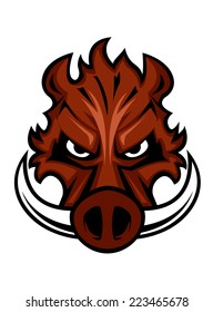 Fierce angry wild boar head with glaring eyes and curving tusks, cartoon vector illustration