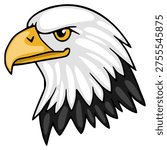 Fierce Bald Eagle Head Vector Illustration