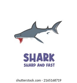 Fierce Blue Shark Vector Illustration