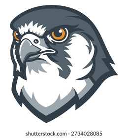 Fierce falcon head graphic with orange eyes and dark gray feathers bird illustration