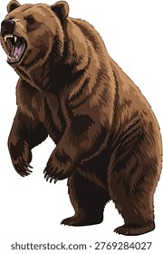Fierce grizzly bear standing on hind legs with mouth open brown bear wild animal attack stance illustration aggressive animal portrait drawing