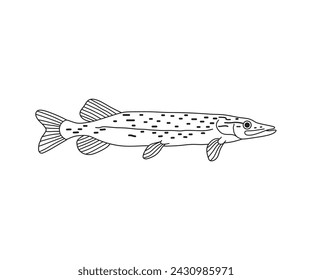 Fierce Northern Pike fish vector illustration, showcasing its distinctive markings and predatory nature. Perfect for fishing enthusiasts, wildlife themes, and outdoor designs.