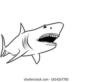 fierce shark doodle is suitable for logo