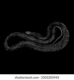 fierce snake hand drawing vector isolated on black background.