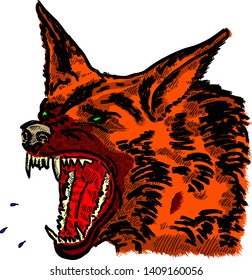 A fierce snarling wild wolf baring its fangs for Halloween concept. Hand drawn vector illustration. 