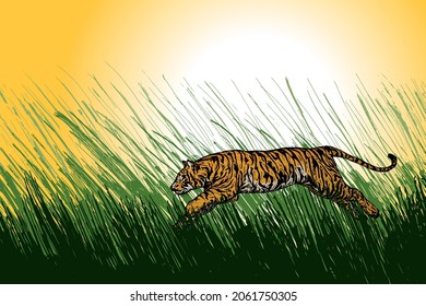 Ein wilder Tiger, der durch ein Grasland springt. Handgezeichnete Vektorgrafik.
