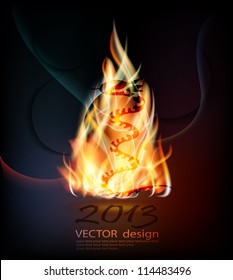 fiery background with snake