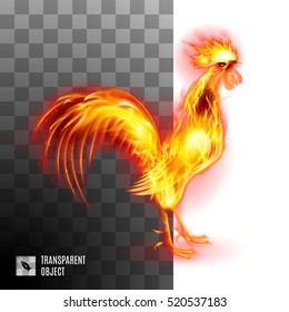 Fiery Golden Rooster On Transparent Background Symbol Chinese New Two Thousand Seventeen