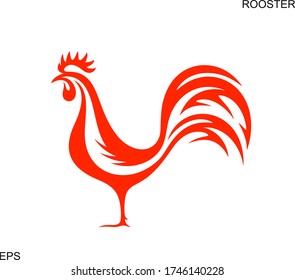 Fiery rooster. Isolated rooster on white background