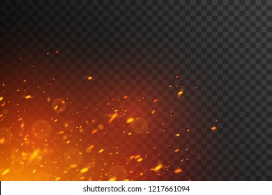 Fiery sparks on transparent background. Glowing particles. 