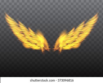  fiery wing. Abstract illustration