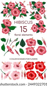 Fifteen floral elements to assemble an indoor hibiscus. Hand drawn parts of a flower