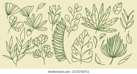 Fifteen Hand drawing set floral botanical fern forest elements with elegant leaves for invitation save the date card design. Botanic rustic trendy greenery.