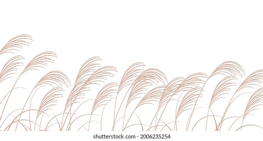 Fifteen nights autumn Miscanthus background 