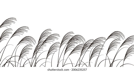 Fifteen nights autumn Miscanthus background 