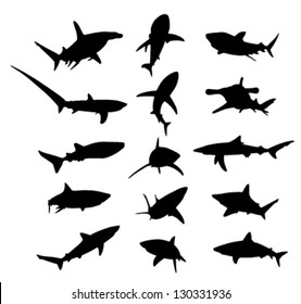 fifteen shapes shark on a white background