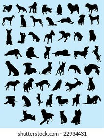 Fifty dogs silhouette