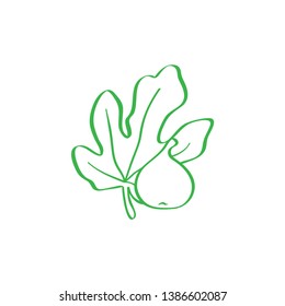 Fig abstract logo. fig fruits and leaf logo created with simple and clean style. suitable for botanical logo. -Vector