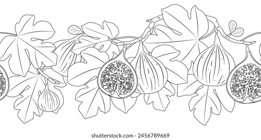 Fig branch in line drawing on white background. Vector seamless border.