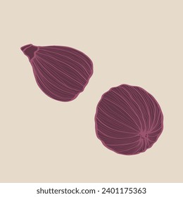 Fijar elementos de dibujos animados. Fruta exótica. Icono de depuración. Cosecha orgánica de granja estacional. Festival de Verduras del Otoño en octubre. Comida deliciosa y saludable para cocinar.