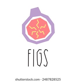 Ilustración de dibujos animados de higo y texto aislado en blanco. Frutas tropicales. Logo geométrico, estampado, diseño. Ilustración vectorial
