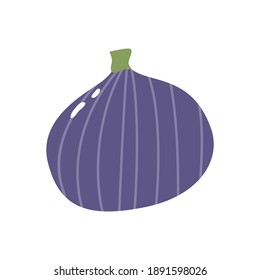 Fig colorful vector illustration isolated on white background. Hand drawn style, cute doodle art. Agricultural concept. Fruits for gardening. Healthy diet.