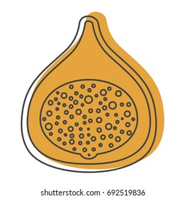 Fig in doodle style icons vector illustration for design and web isolated on white background. Fig vector object for labels and logo