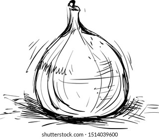 Dibujo de imágenes, ilustración, vector sobre fondo blanco.