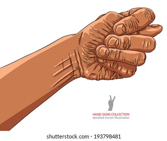 Fig fico hand sign, African ethnicity, detailed vector illustration.
