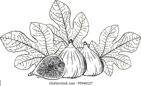 fig, figs