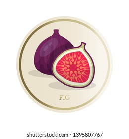 Fig flat circle sticker. Sliced tropical exotic fruit vector illustration. Eco, organic homemade juice, jam patch. Fresh healthy vitamins rich food. Summer cocktails ingredient