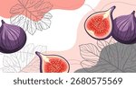 Fig fruit background. A composition of ripe figs with organic shapes and leaves on an abstract background. Card, banner, poster