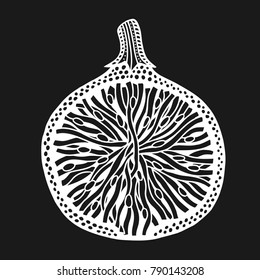 Fig fruit black and white. Hand-drawn, doodle, vector. Made by trace from sketch. Coloring book page for adult. Garnet fruit.