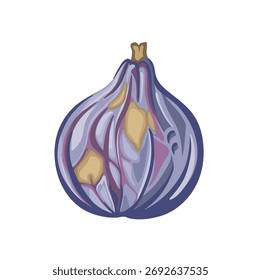 Fig fruto ilustração desenhada à mão brilhante