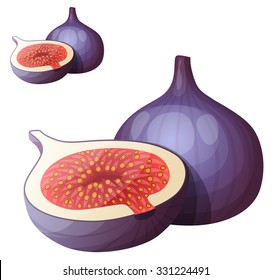 Fig fruit. Cartoon vector icon isolated on white background. Series of food and drink and ingredients for cooking.