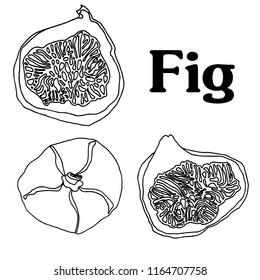 fig fruit cartoon vector sketch for banner stiker postcard